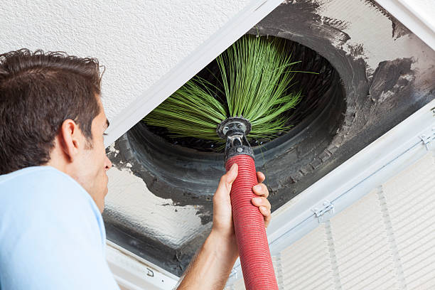 Best Local Air Duct Cleaning Services  in Fox Lake, WI